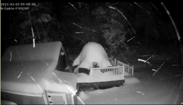 Screen Shot 2021-02-02 at 12.08.08 AM.png